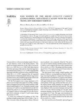 SARSIA EGG MASSES of the SQUID GONATUS FABRICII (CEPHALOPODA, GONATIDAE) CAUGHT with PELAGIC F TRAWL OFF NORTHERN NORWAY