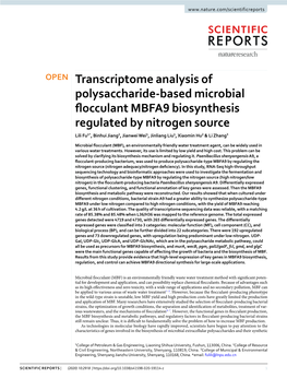 Transcriptome Analysis of Polysaccharide-Based Microbial Flocculant MBFA9 Biosynthesis Regulated by Nitrogen Source