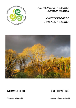 Newsletter Cylchlythyr