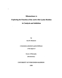 Ribonuclease A: Exploring the Function of the Active-Site Lysine