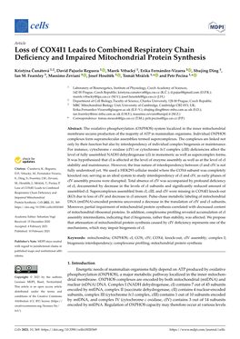 Loss of COX4I1 Leads to Combined Respiratory Chain Deficiency And