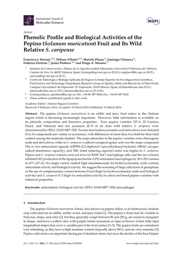 Phenolic Profile and Biological Activities of the Pepino (Solanum Muricatum) Fruit and Its Wild Relative S. Caripense