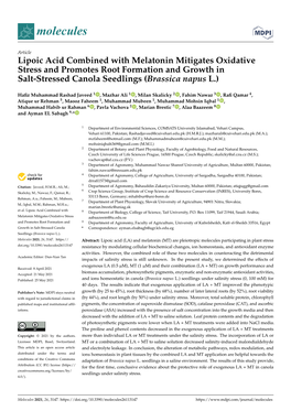 Lipoic Acid Combined with Melatonin Mitigates Oxidative Stress and Promotes Root Formation and Growth in Salt-Stressed Canola Seedlings (Brassica Napus L.)