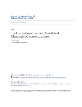 The Effect of Insects on Seed Set of Ozark Chinquapin, Castanea Ozarkensis" (2017)