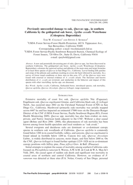 Previously Unrecorded Damage to Oak, Quercus Spp., in Southern California by the Goldspotted Oak Borer, Agrilus Coxalis Waterhouse (Coleoptera: Buprestidae) 1 2 TOM W