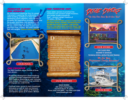 Dixie Divers Brochure