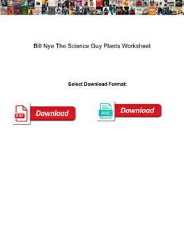Bill Nye the Science Guy Plants Worksheet