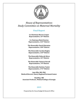 House of Representatives Study Committee on Maternal Mortality