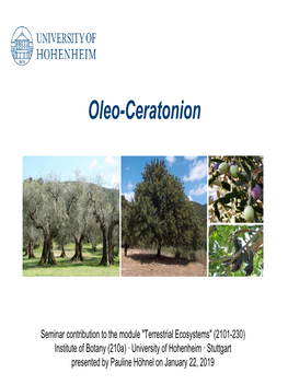 Oleo-Ceratonion