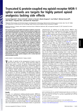 Truncated G Protein-Coupled Mu Opioid Receptor MOR-1 Splice Variants Are Targets for Highly Potent Opioid Analgesics Lacking Side Effects