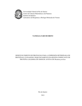 Universidade Federal Do Rio De Janeiro Centro De Ciências Matemáticas E Da Natureza Instituto De Química Laboratório De Bioquímica E Biologia Molecular De Vetores