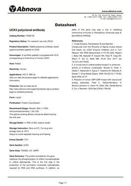 UCK2 Polyclonal Antibody Allele of This Gene May Play a Role in Mediating Nonhumoral Immunity to Hemophilus Influenzae Type B