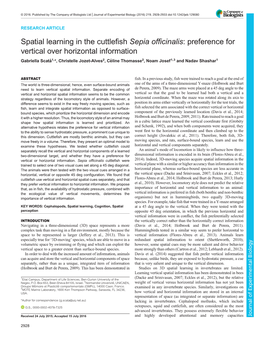 Spatial Learning in the Cuttlefish Sepia Officinalis