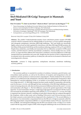 Stx5-Mediated ER-Golgi Transport in Mammals and Yeast