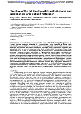 Structure of the Full Kinetoplastids Mitoribosome and Insight on Its Large Subunit Maturation