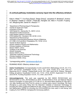 A Cortical Pathway Modulates Sensory Input Into the Olfactory Striatum 3 4 5 Kate A