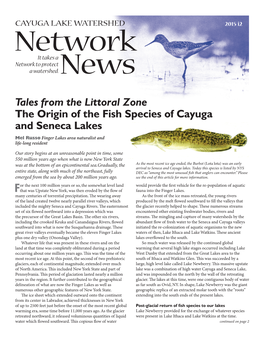 Tales from the Littoral Zone the Origin of the Fish Species of Cayuga and Seneca Lakes Mel Russo Finger Lakes Area Naturalist and Life-Long Resident
