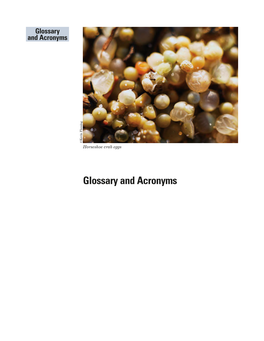 Glossary and Acronyms Glossary Glossary