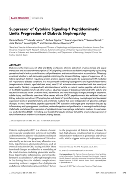 Suppressor of Cytokine Signaling-1 Peptidomimetic Limits Progression of Diabetic Nephropathy