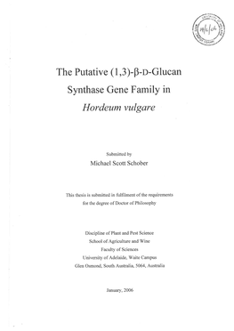 (1,3)-Β-D-Glucan Synthase Gene Family in Hordeum Vulgare