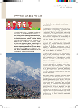 Why the Andes Matter