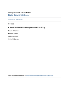 A Molecular Understanding of Alphavirus Entry