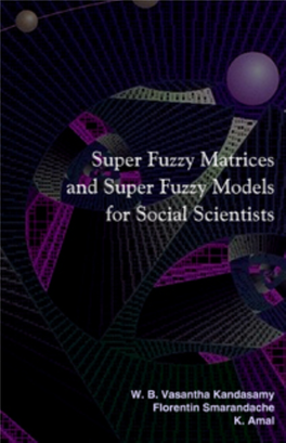 Super Fuzzy Matrices and Super Fuzzy Models for Social Scientists