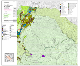 Piano Di Governo Del Territorio