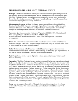 TIDAL FRESHWATER MARSH (GIANT CORDGRASS SUBTYPE) Concept: Tidal Freshwater Marshes Are Very Wet Herbaceous Wetlands, Permanently