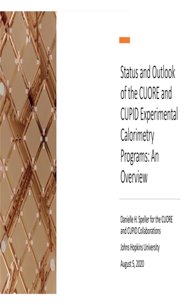 Status and Outlook of the CUORE and CUPID Experimental Calorimetry Programs: an Overview