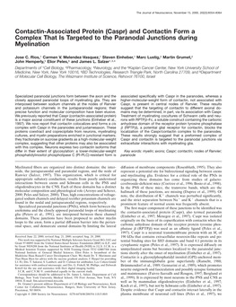 (Caspr) and Contactin Form a Complex That Is Targeted to the Paranodal Junctions During Myelination