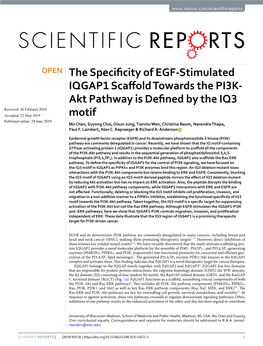 The Specificity of EGF-Stimulated IQGAP1 Scaffold Towards the PI3K-Akt Pathway Is Defined by the IQ3 Motif