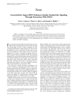 Caenorhabditis Elegans SDF-9 Enhances Insulin/Insulin-Like Signaling Through Interaction with DAF-2