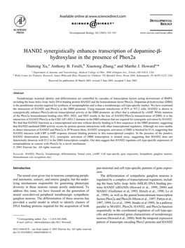HAND2 Synergistically Enhances Transcription of Dopamine-ß