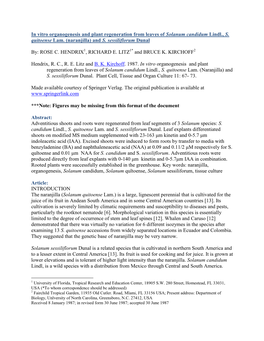 In Vitro Organogenesis and Plant Regeneration from Leaves of Solanum Candidum Lindl., S