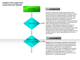 Live Cattle Integrity of the Supply Chain London Board for Shechita Shechita Bedikas P'nim Shechita