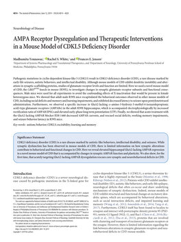 AMPA Receptor Dysregulation and Therapeutic Interventions in a Mouse Model of CDKL5 Deficiency Disorder