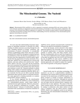 The Mitochondrial Genome. the Nucleoid