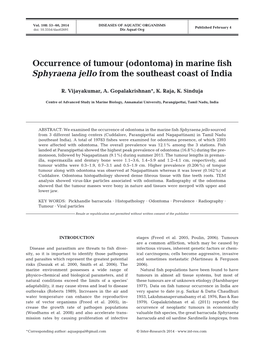 Occurrence of Tumour (Odontoma) in Marine Fish Sphyraena Jello from the Southeast Coast of India