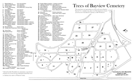 Trees of Bayview Cemetery