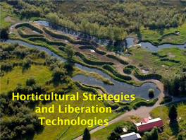 Innovative Horticultural Strategies for a New Permaculture Century