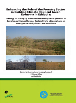 Enhancing the Role of Forestry in Building Climate Resilient Green Economy in Ethiopia