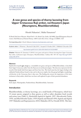 A New Genus and Species of Thorny Lacewing from Upper Cretaceous Kuji Amber, Northeastern Japan (Neuroptera, Rhachiberothidae)