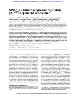 XPO7 Is a Tumor Suppressor Regulating P21cip1-Dependent Senescence