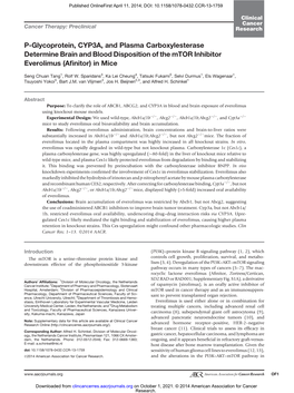 P-Glycoprotein, CYP3A, and Plasma Carboxylesterase Determine Brain and Blood Disposition of the Mtor Inhibitor Everolimus (Aﬁnitor) in Mice