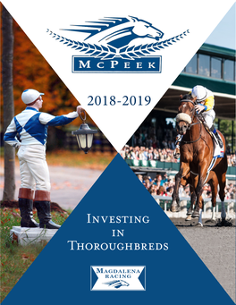 Investing in Thoroughbreds 2018-2019