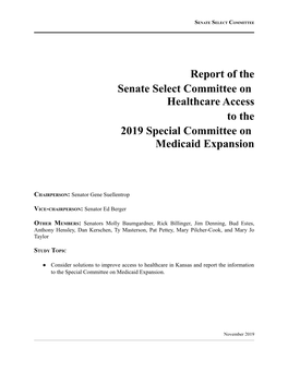 Report of the Senate Select Committee on Healthcare Access to the 2019 Special Committee on Medicaid Expansion