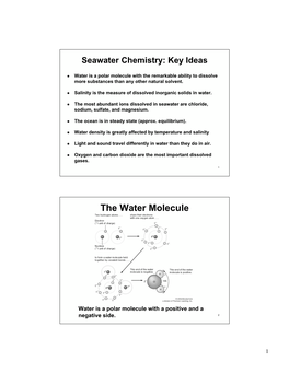 The Water Molecule