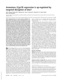 Aromatase (Cyp19) Expression Is Up-Regulated by Targeted Disruption of Dax1