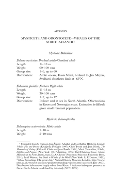 Balaenidae Balaena Mysticetus: Bowhead Whale/Greenland